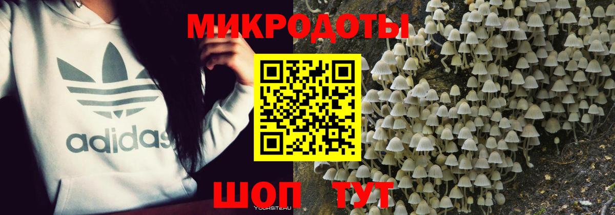 Псилоцибиновые грибы мухоморы  Вход с VPN  закладки  Асино 